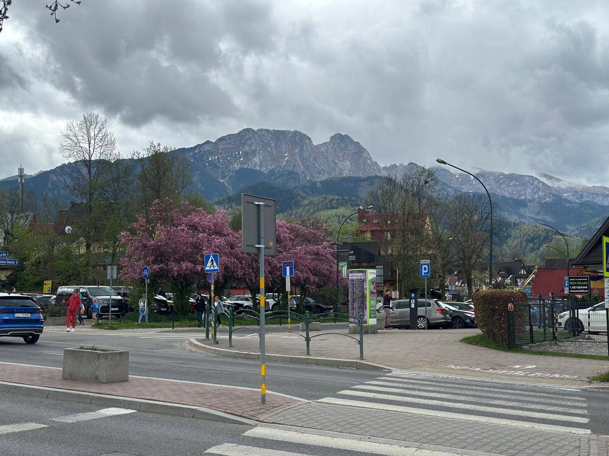 Lesny Dworek Zakopane Exterior foto